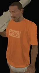 Clothing index 11: tshirterisorn (tshirt)